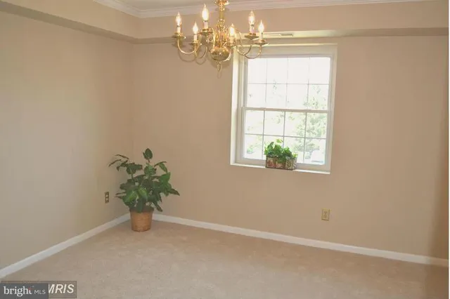 an empty room with windows and flower