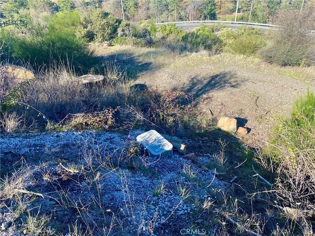 a view of a lake in between two large trees