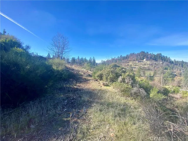 a view of a yard with a tree