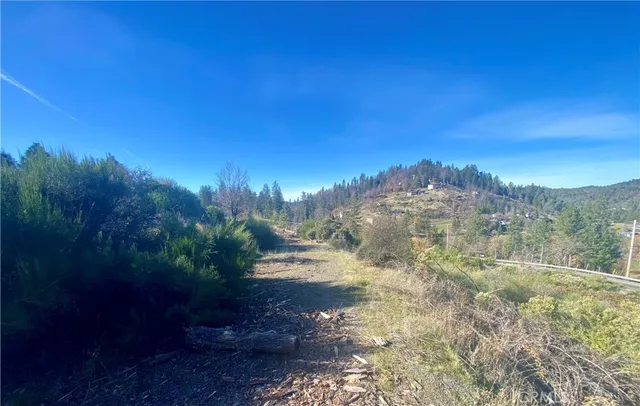 a view of a yard with a tree