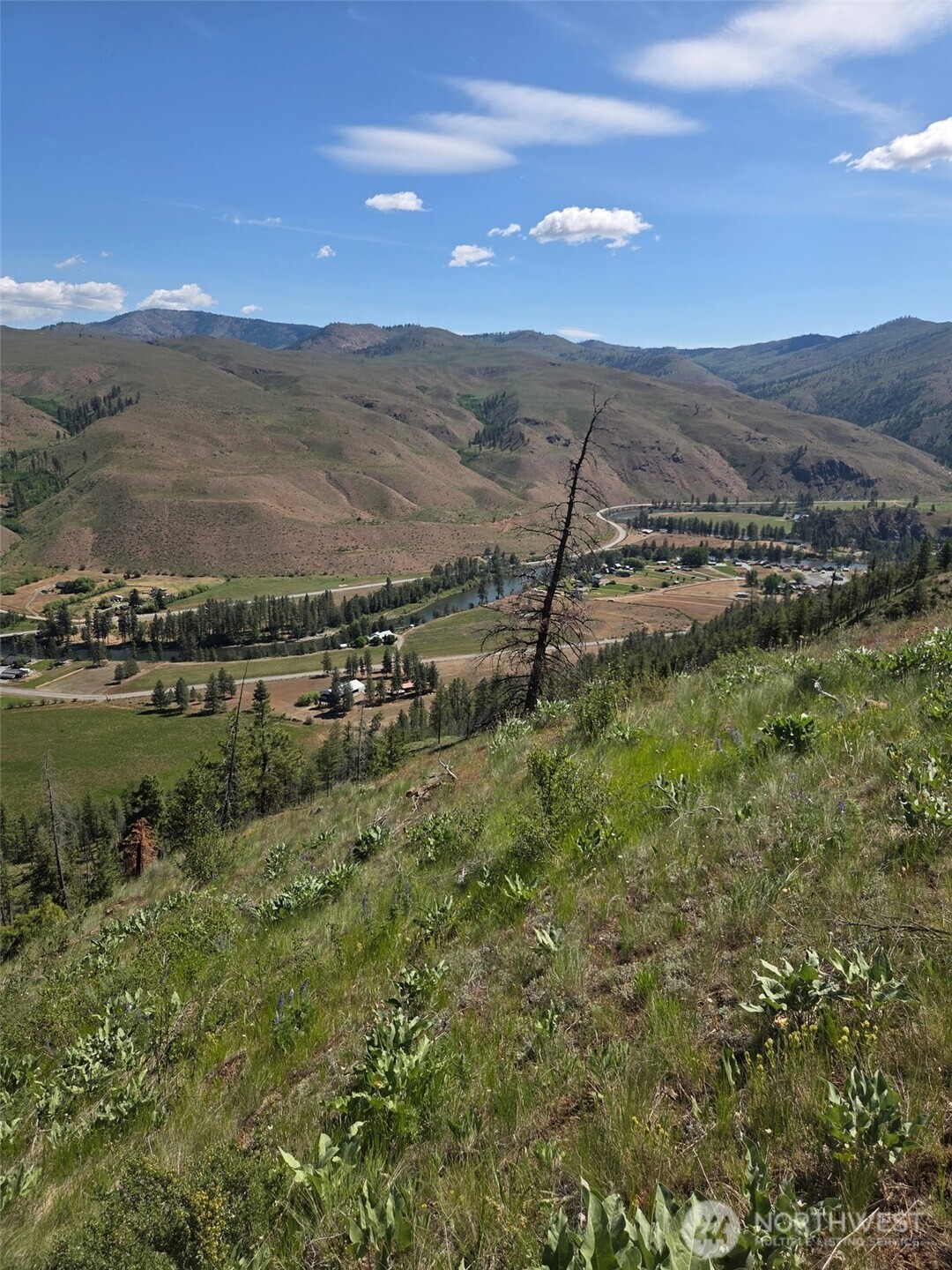 -xxx Gold Creek Loop Road Carlton, WA 98814 - Photo 10 of 14 a view of a town with mountains in the background