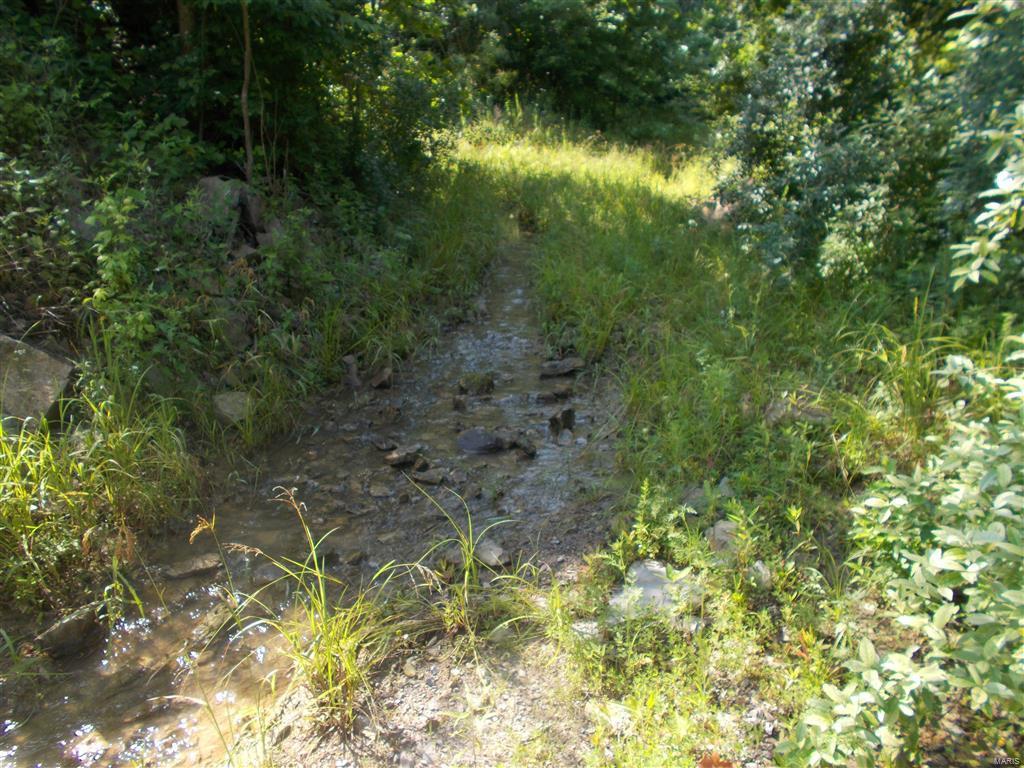 0 Kinkaid Stone Road Ava, IL 62907 - Photo 17 of 54 Gallery Image 17