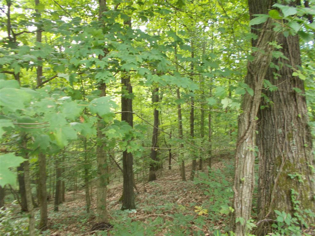 0 Kinkaid Stone Road Ava, IL 62907 - Photo 18 of 54 Gallery Image 18
