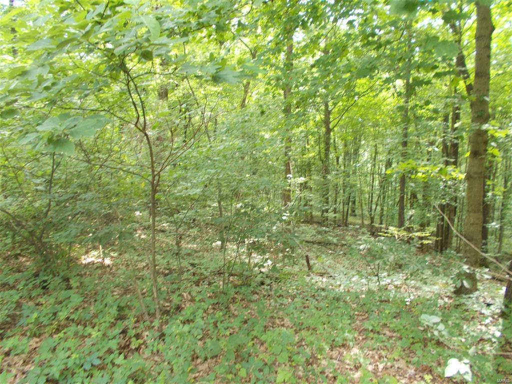 0 Kinkaid Stone Road Ava, IL 62907 - Photo 19 of 54 Gallery Image 19