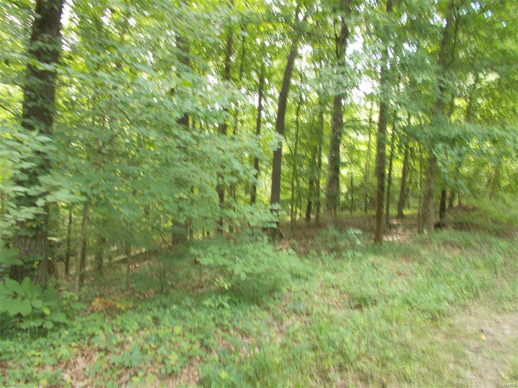 0 Kinkaid Stone Road Ava, IL 62907 - Photo 20 of 54 Gallery Image 20