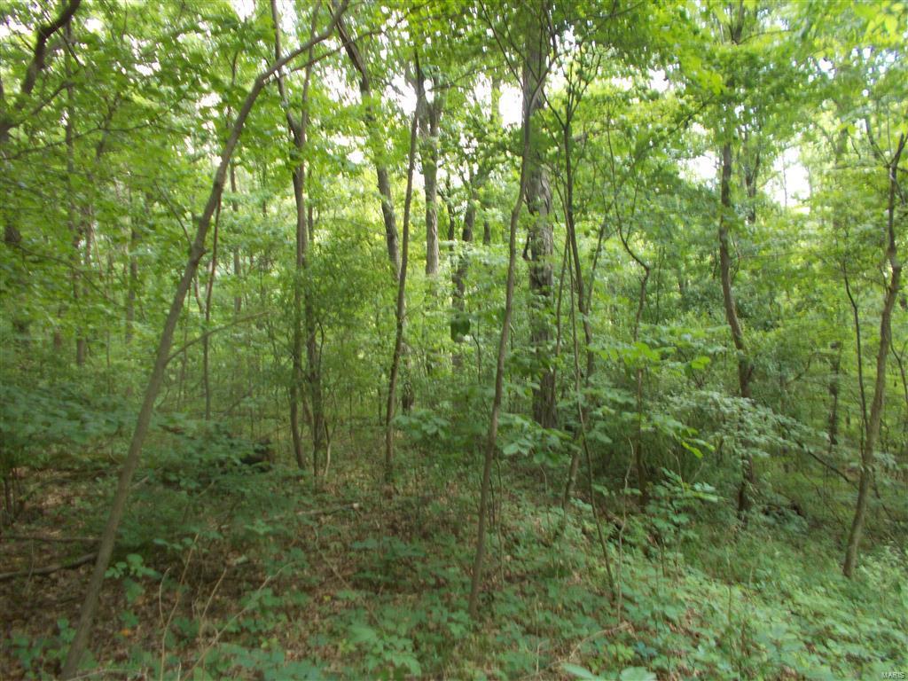 0 Kinkaid Stone Road Ava, IL 62907 - Photo 21 of 54 Gallery Image 21