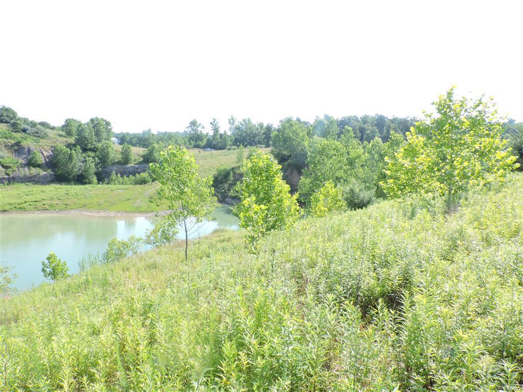 0 Kinkaid Stone Road Ava, IL 62907 - Photo 31 of 54 Gallery Image 31