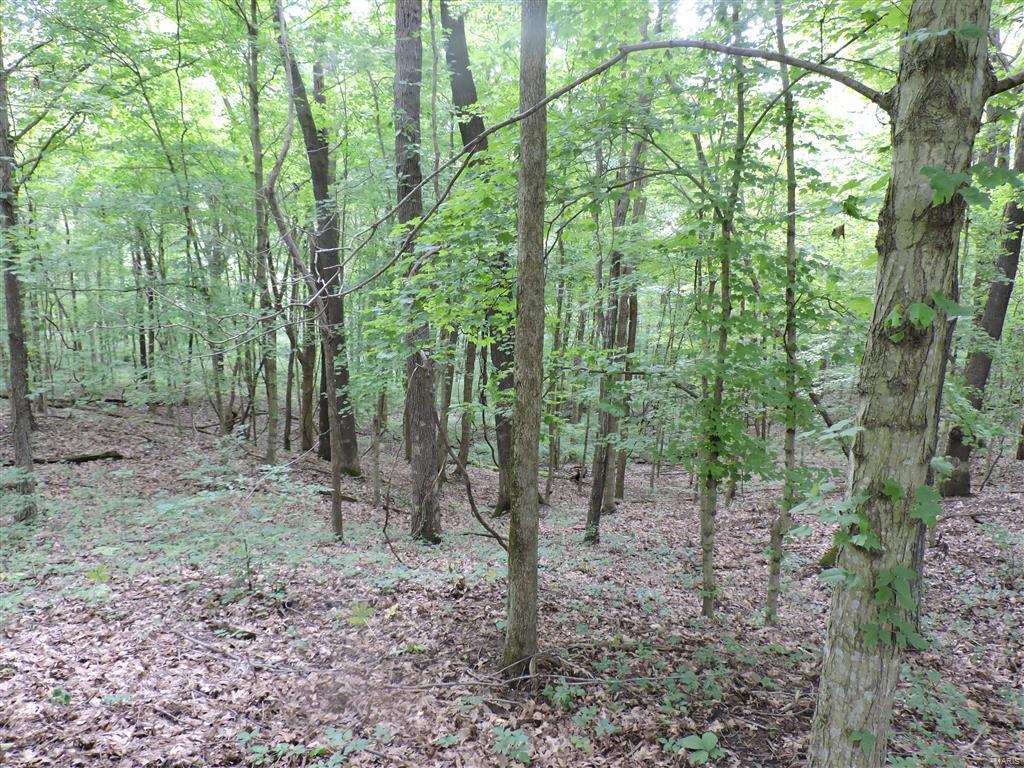 0 Kinkaid Stone Road Ava, IL 62907 - Photo 51 of 54 Gallery Image 51