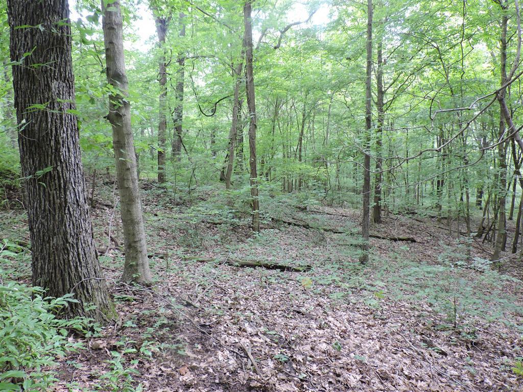 0 Kinkaid Stone Road Ava, IL 62907 - Photo 53 of 54 Gallery Image 53