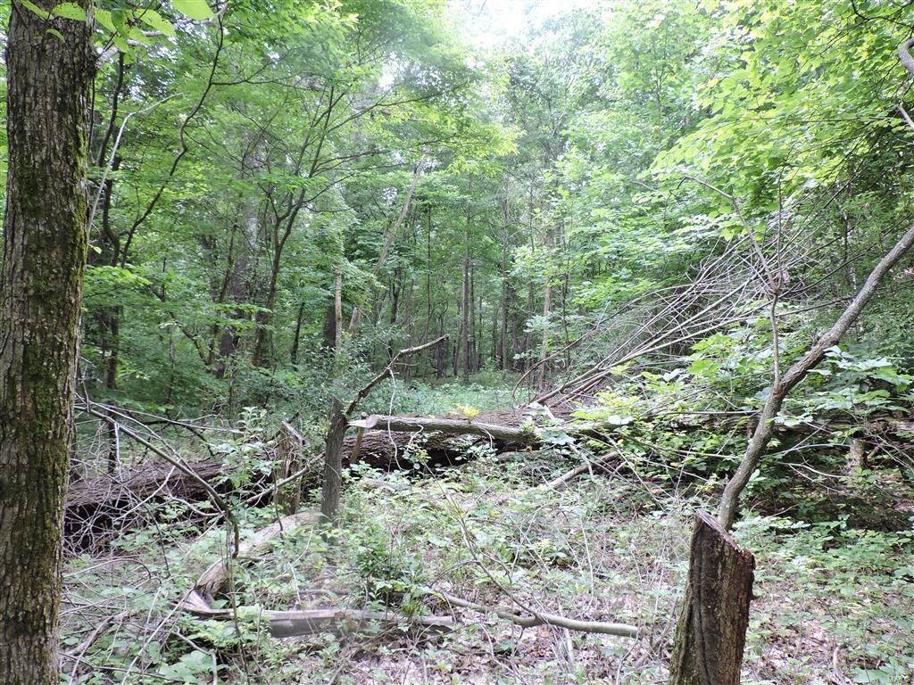 0 Kinkaid Stone Road Ava, IL 62907 - Photo 54 of 54 Gallery Image 54