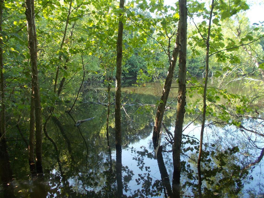 0 Kinkaid Stone Road Ava, IL 62907 - Photo 9 of 54 Gallery Image 9