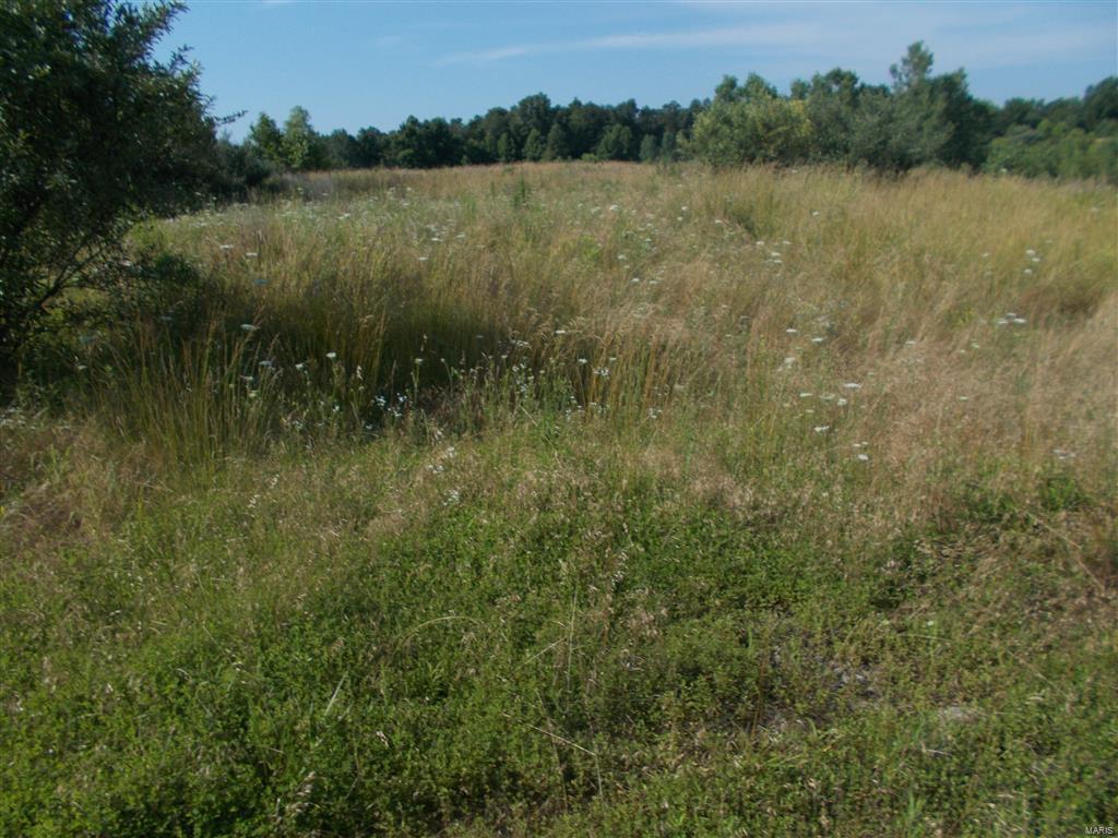 0 Kinkaid Stone Road Ava, IL 62907 - Photo 10 of 54 Gallery Image 10