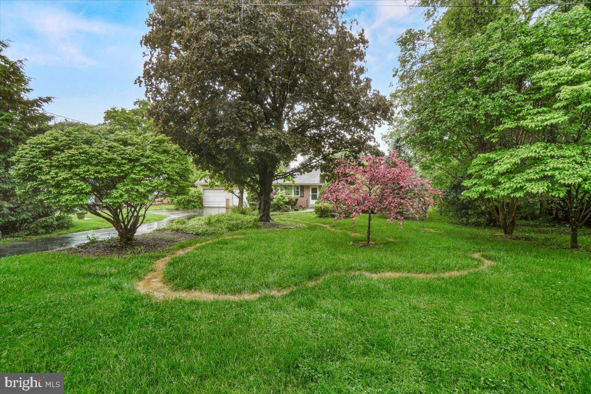 704 Ednor Road Ashton, MD 20861 - Photo 4 of 39 a view of a backyard with a garden