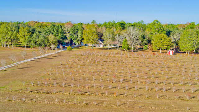 21790 Ranchette Road Robertsdale, AL 36567 - Photo 14 of 36