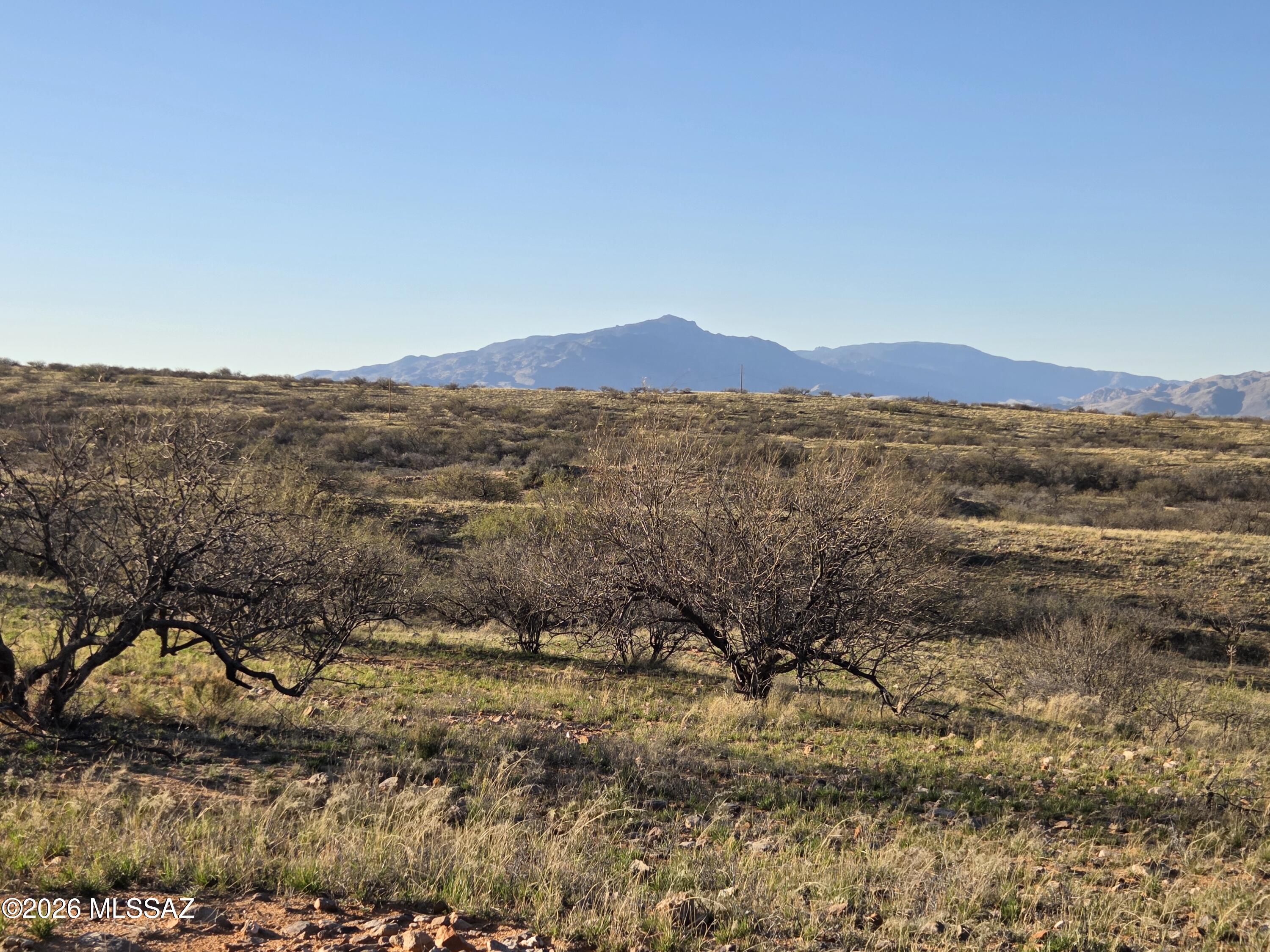 West Canary Spring Road Benson, AZ 85602 - Photo 9 of 10 20260303_171429