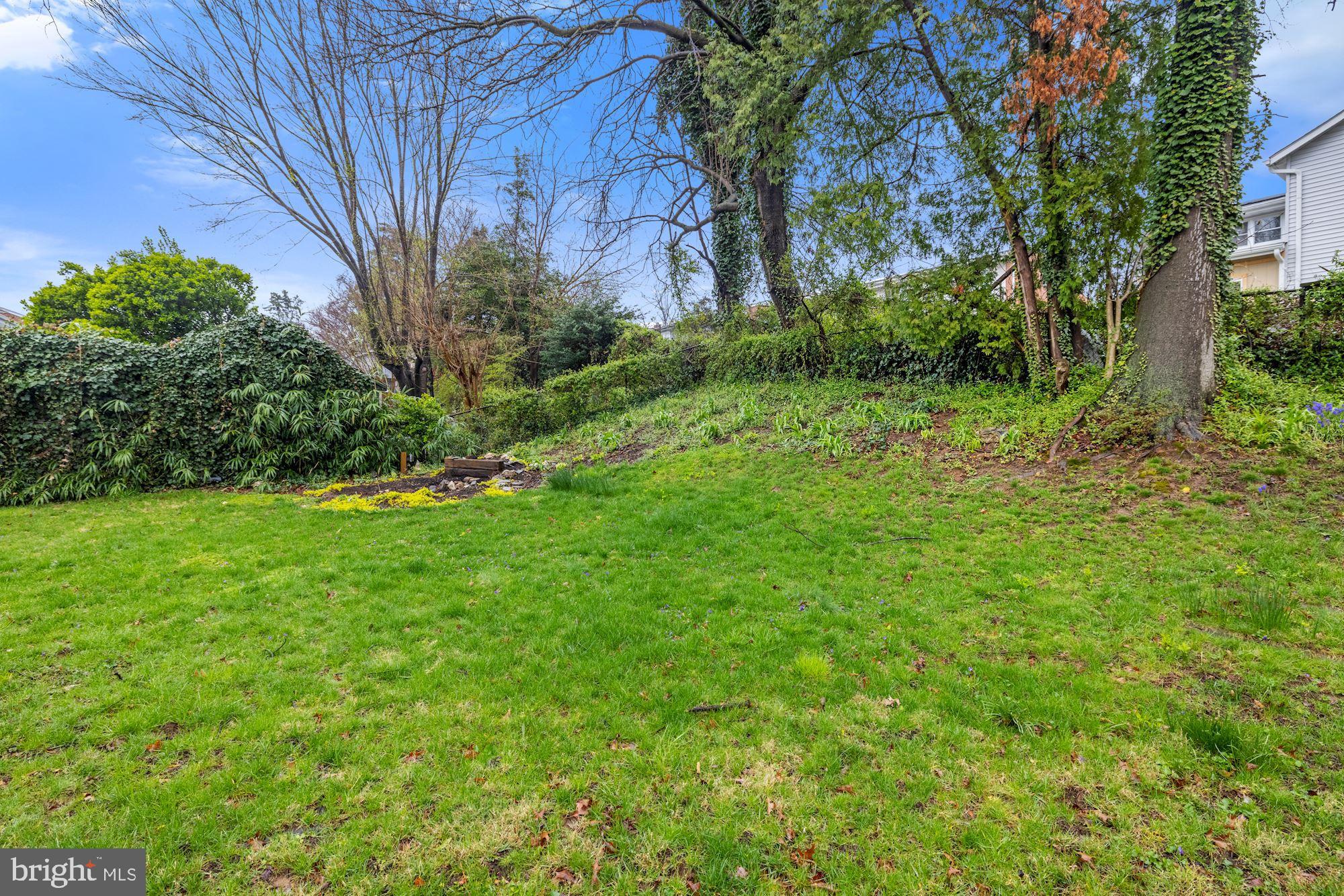 12805 Crisfield Road Silver Spring, MD 20906 - Photo 33 of 35 Rear yard