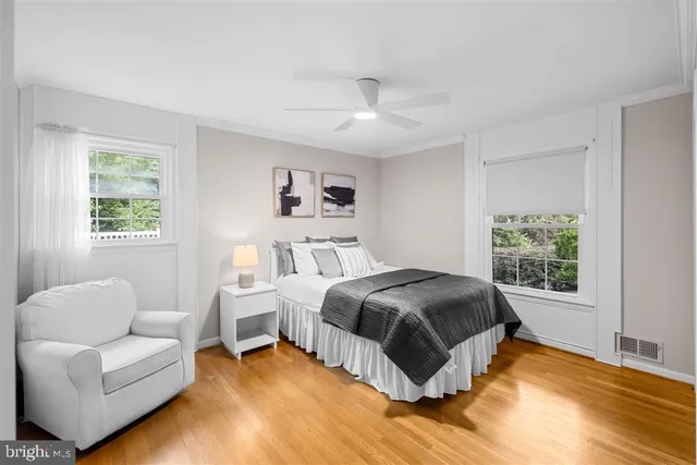 a living room with a bed furniture and a window