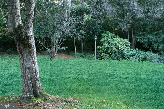 a view of backyard with green space