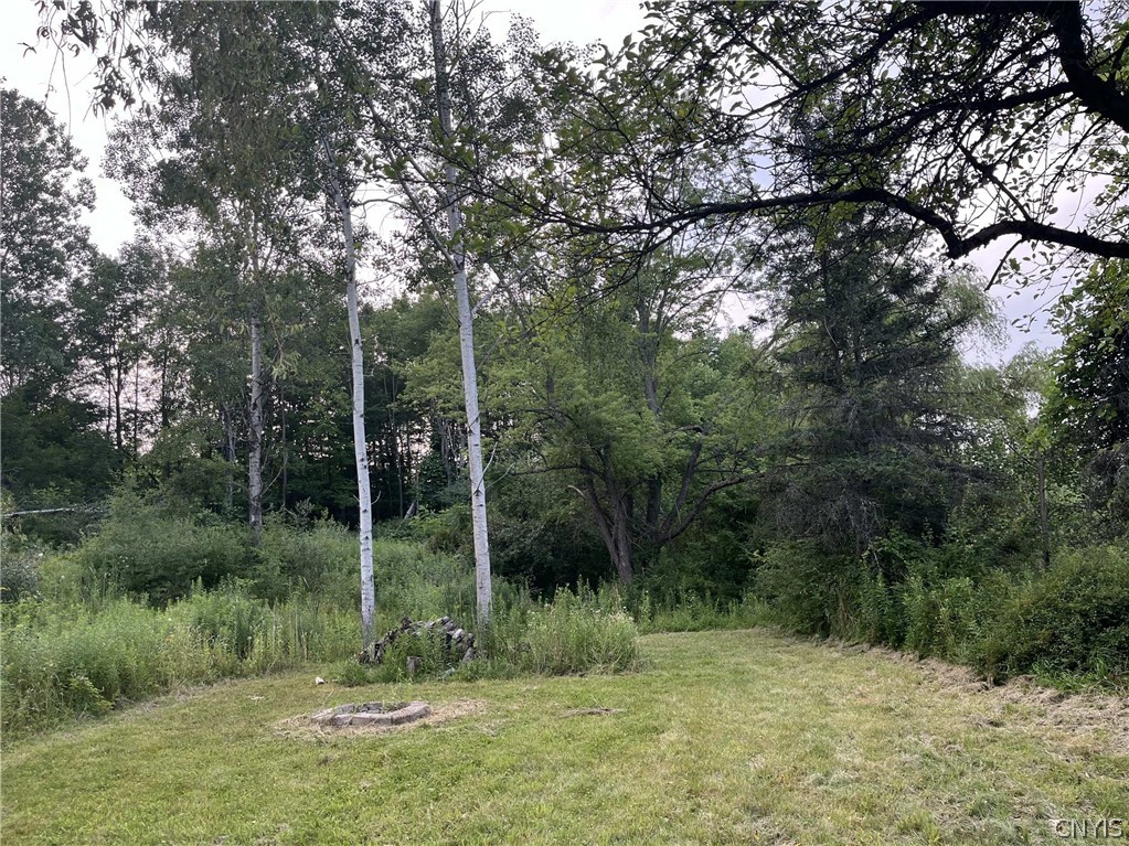 6950 Conesus Springwater Road Conesus, NY 14435 - Photo 6 of 14 Gallery Image 6