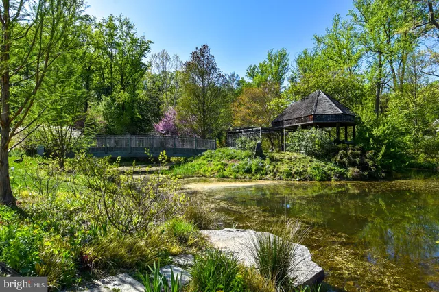 a view of a garden with plants and large trees