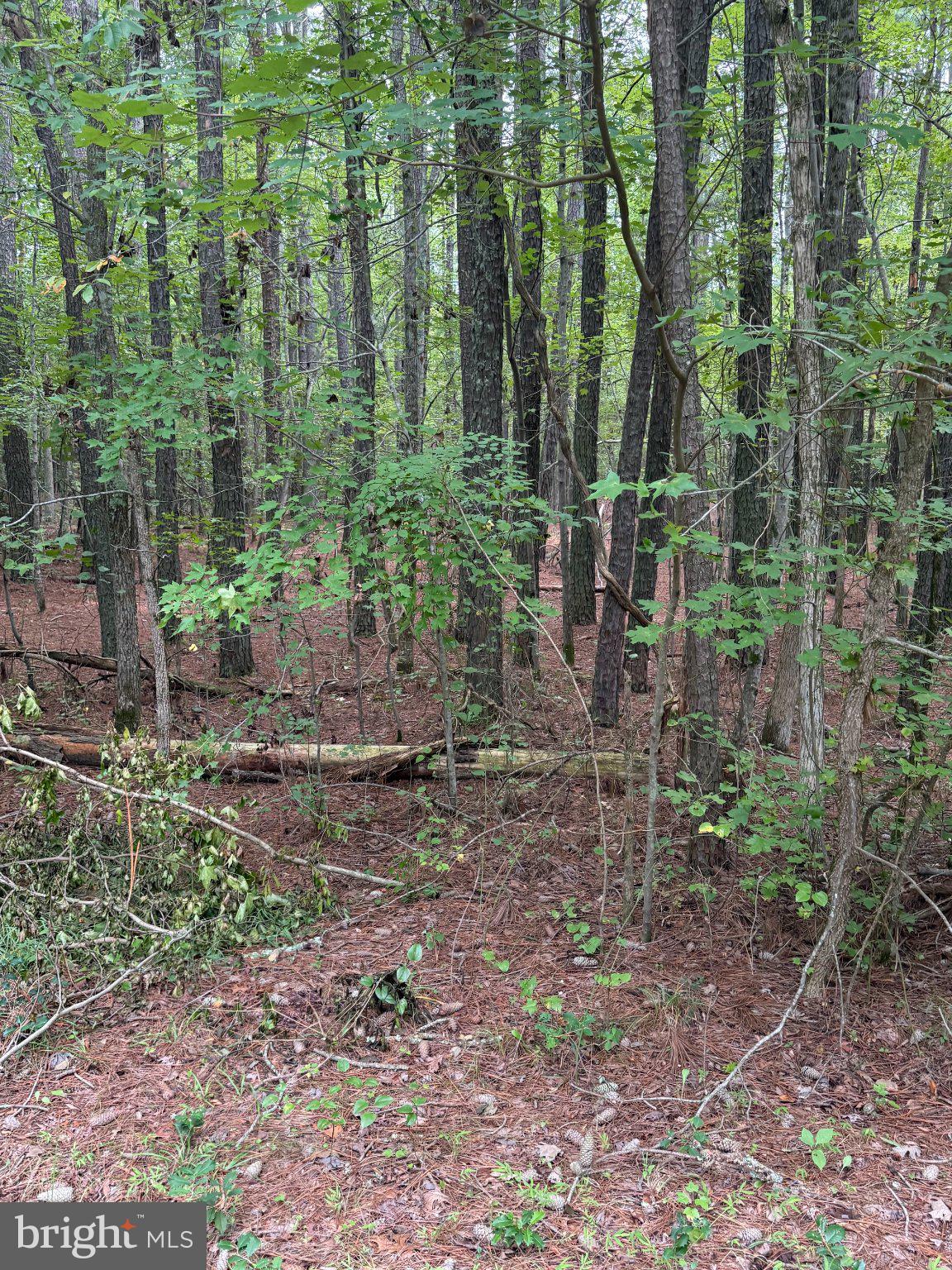 23301 Nanticoke Road Quantico, MD 21856 - Photo 24 of 24 Gallery Image 24