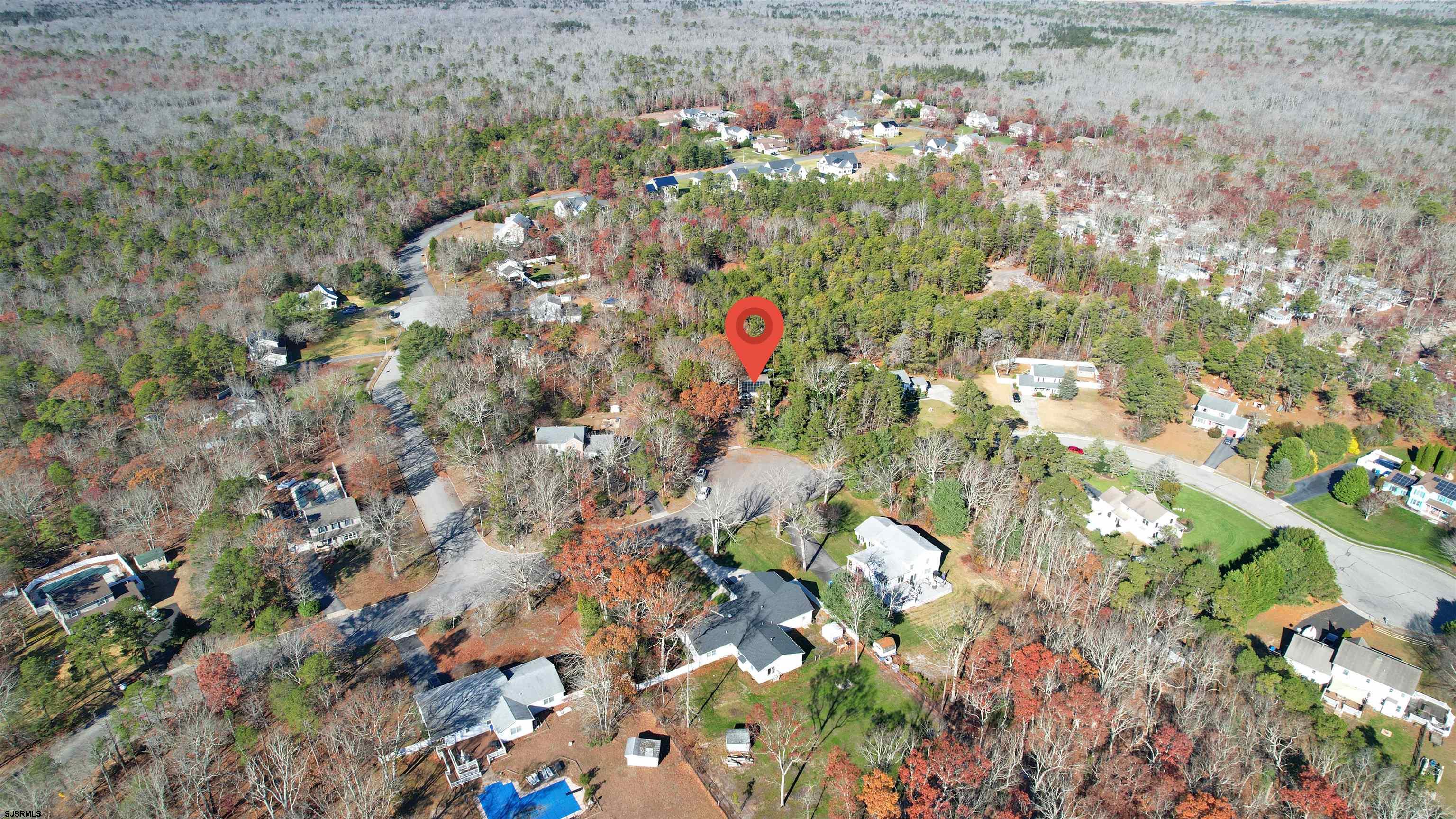 28 Luke Court Seaville, NJ 08230 - Photo 39 of 39 a picture of tree