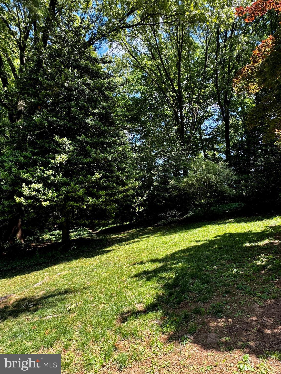 3811 Bent Branch Road Falls Church, VA 22041 - Photo 15 of 50 Rear Exterior