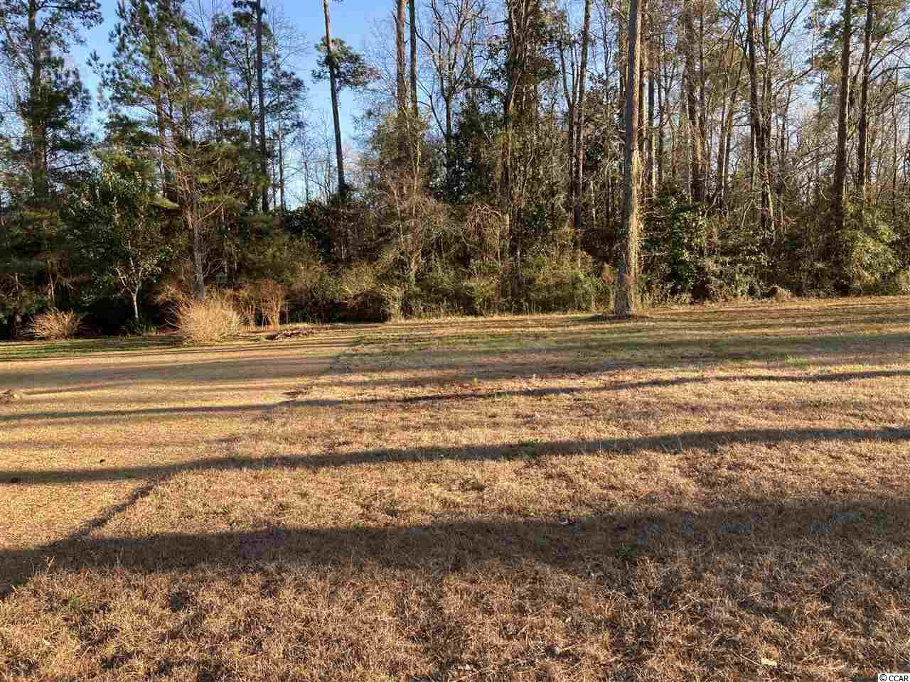 1 Morris Circle Hemingway, SC 29554 - Photo 1 of 4 Gallery Image 1