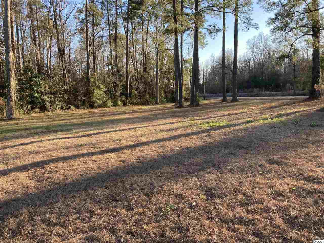 1 Morris Circle Hemingway, SC 29554 - Photo 4 of 4 Gallery Image 4