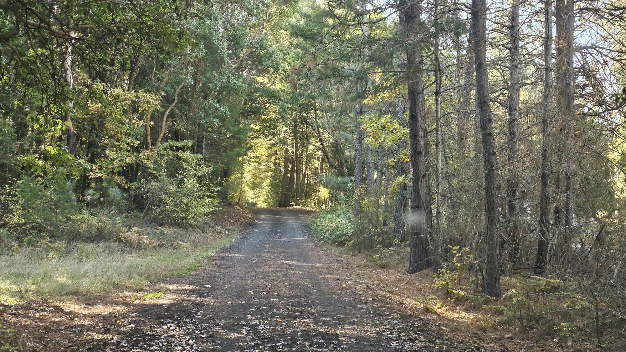 355 Pinewood Way Cave Junction, OR 97523 - Photo 18 of 18 355 6