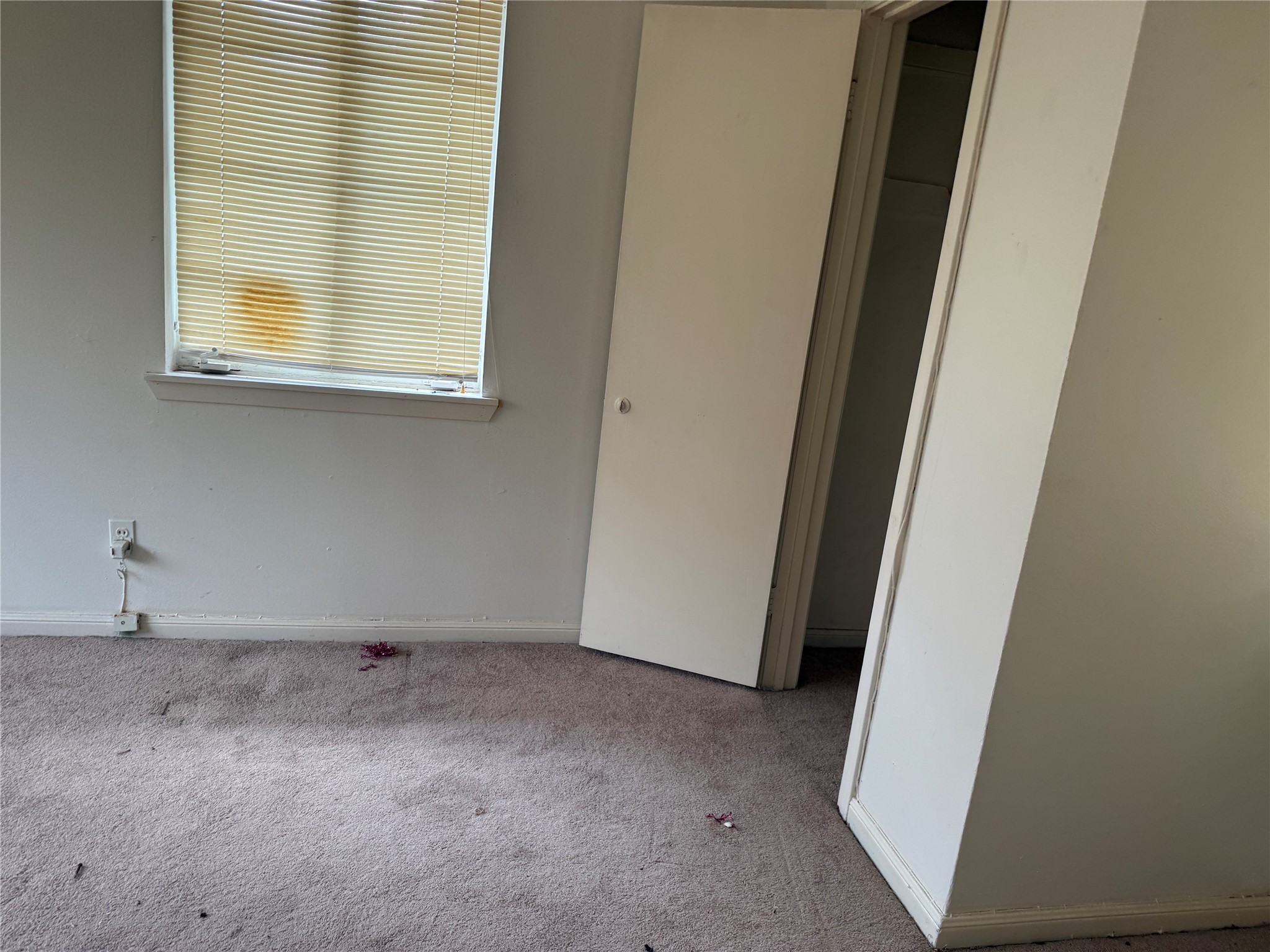 4302 Fernwood Drive Houston, TX 77021 - Photo 8 of 15 a view of a window in an empty room