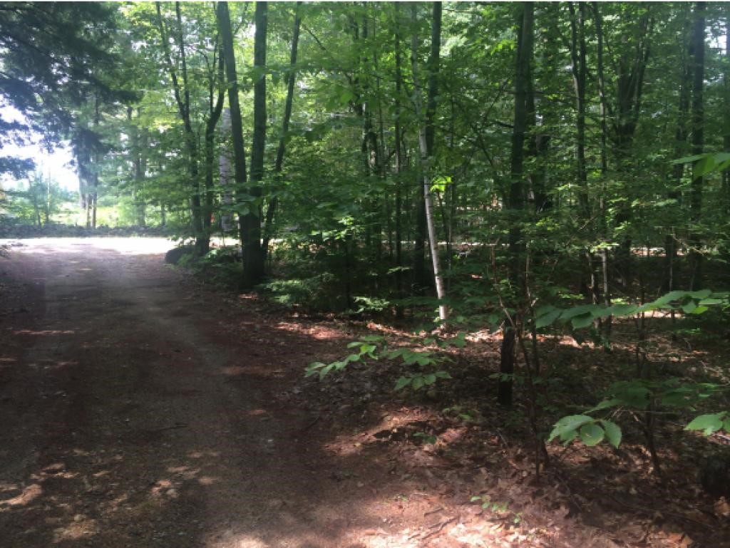 920 Second Crown Point Road Strafford, NH 03884 - Photo 25 of 25