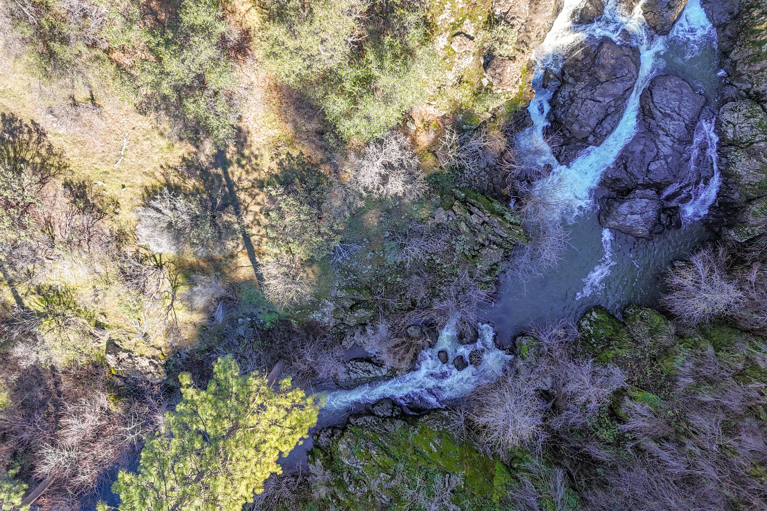 **** Western Whitehouse Way Oak Run, CA 96069 - Photo 18 of 18 a view of a yard