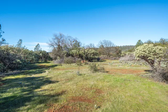 a view of a yard with a tree