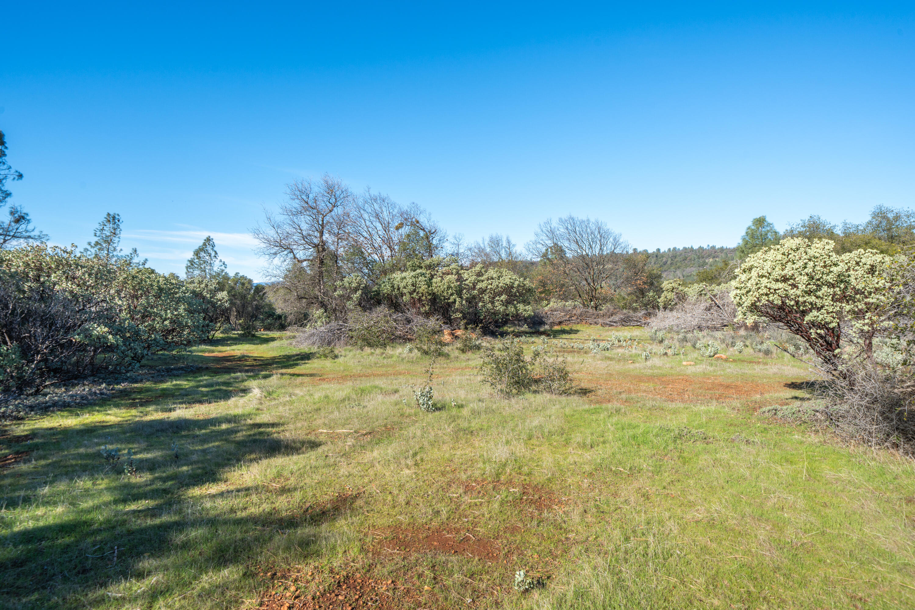 **** Western Whitehouse Way Oak Run, CA 96069 - Photo 4 of 18 a view of mountain view with beach