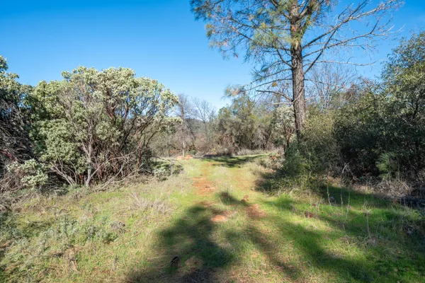 a view of a yard with a tree