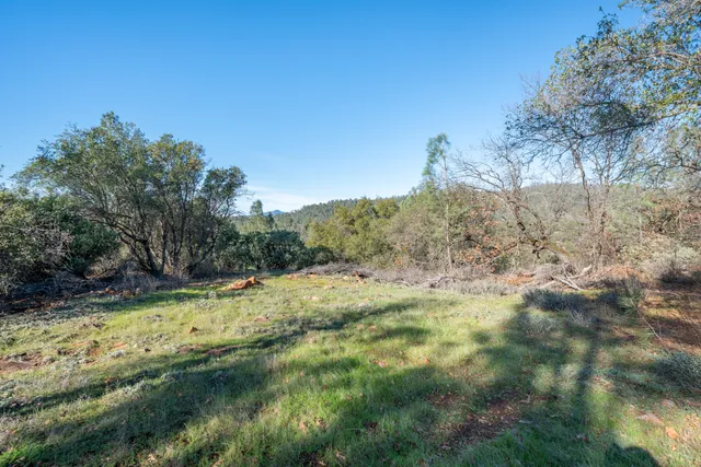 a view of a field with trees in the background