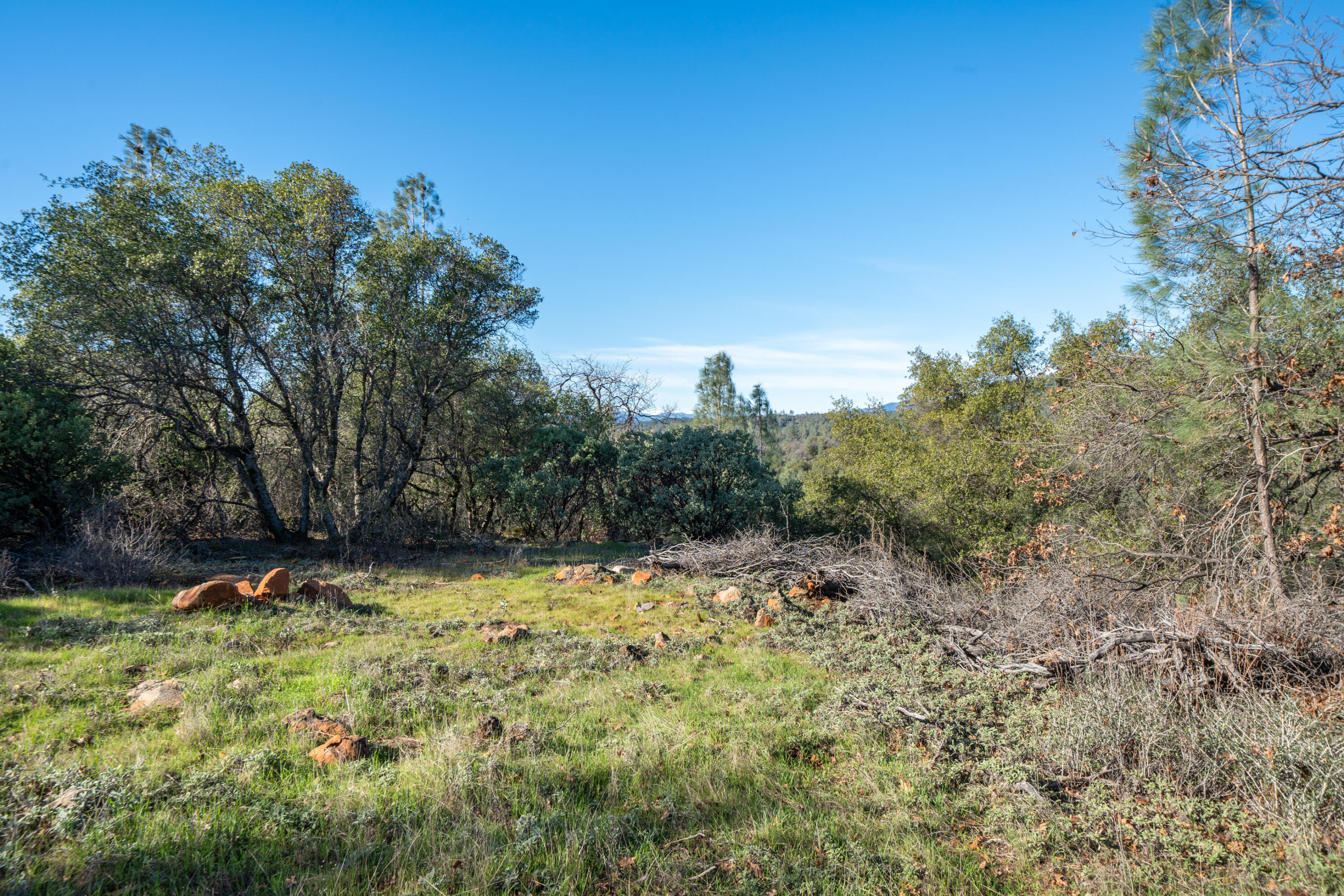 **** Western Whitehouse Way Oak Run, CA 96069 - Photo 7 of 18 a view of a yard with a tree