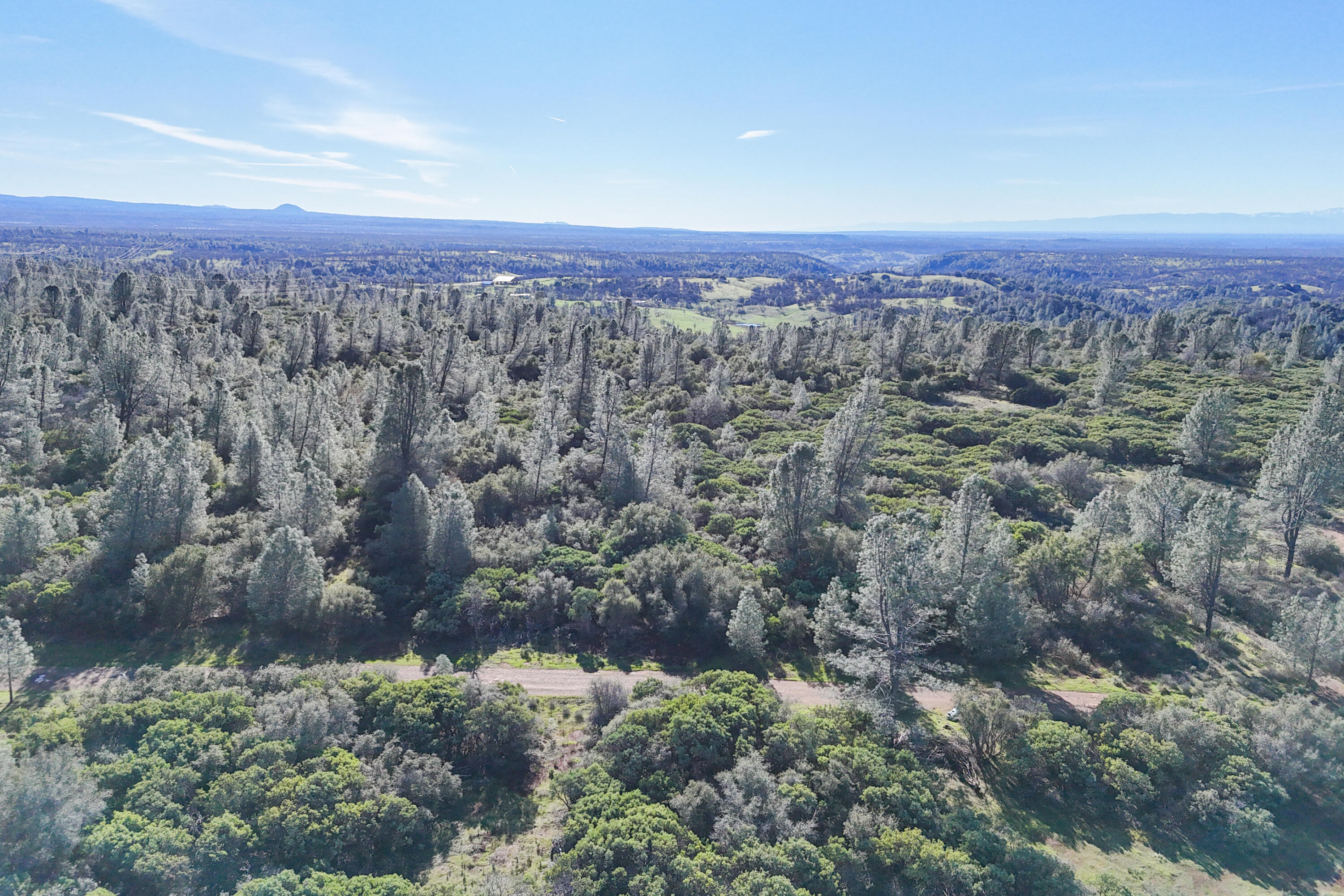 **** Western Whitehouse Way Oak Run, CA 96069 - Photo 10 of 18 an aerial view of residential house and green space