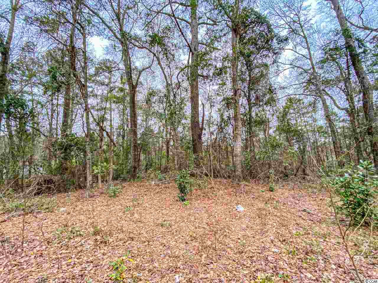 Lot 4 St-john Road Columbia, SC 29209 - Photo 2 of 9