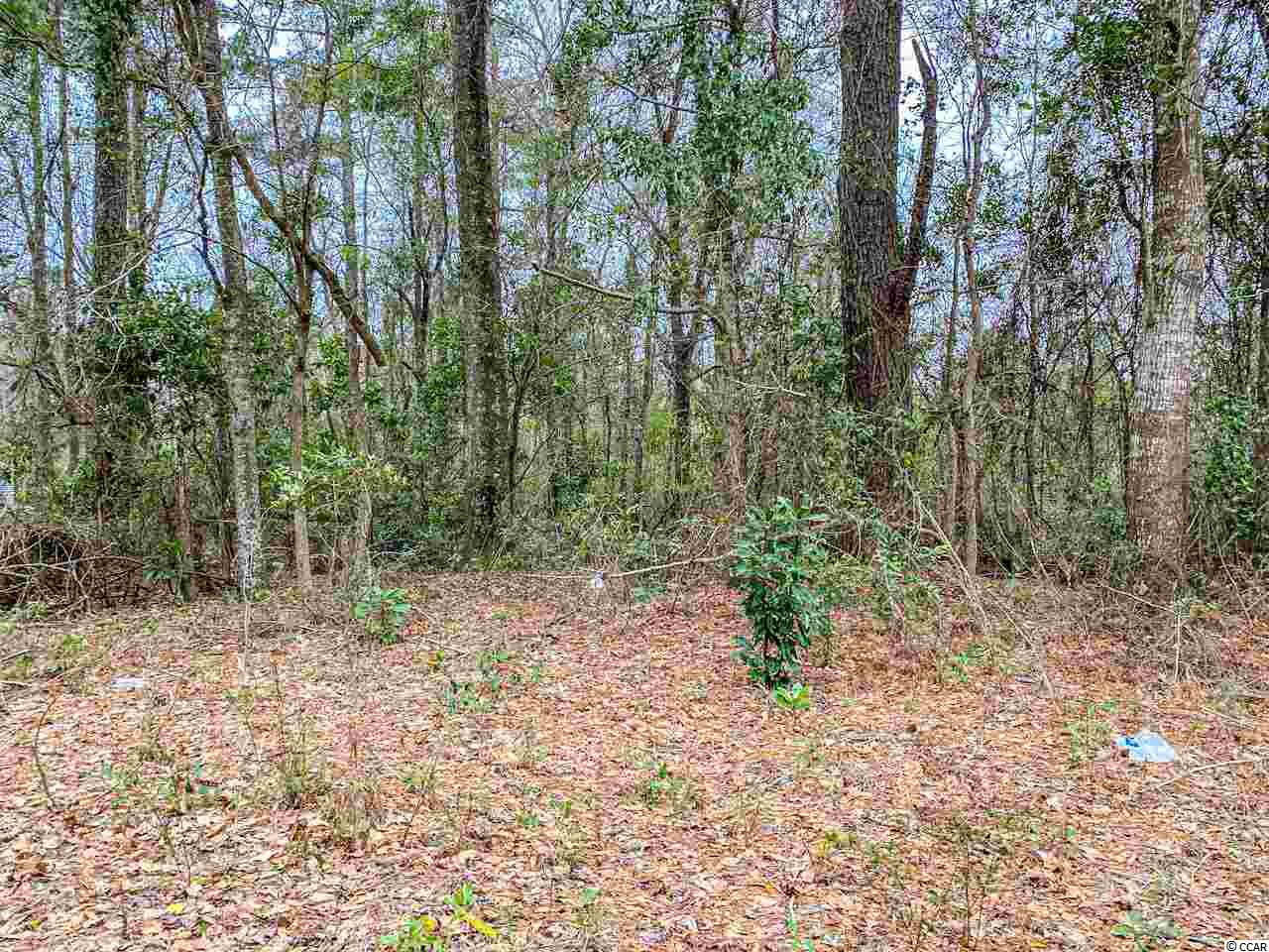 Lot 4 St-john Road Columbia, SC 29209 - Photo 3 of 9