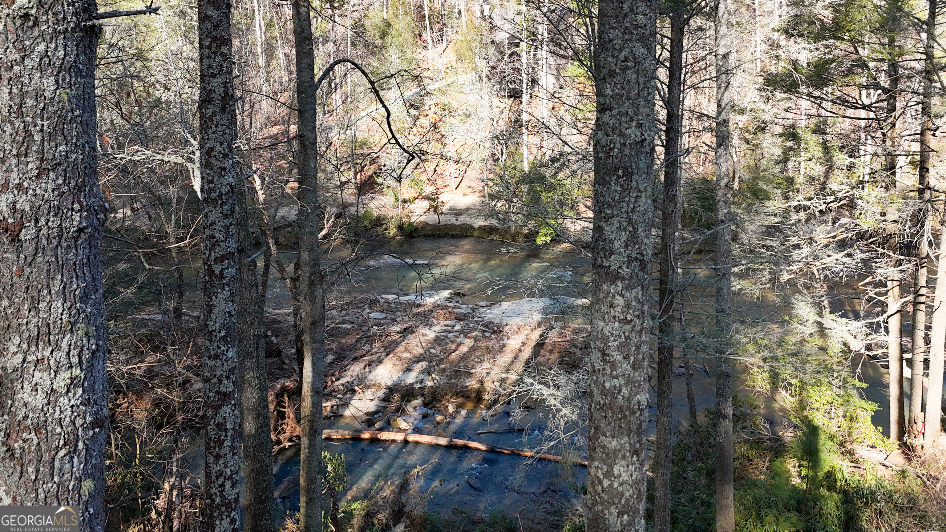499 Old Deer Path Way Cleveland, GA 30528 - Photo 24 of 26 a view of forest