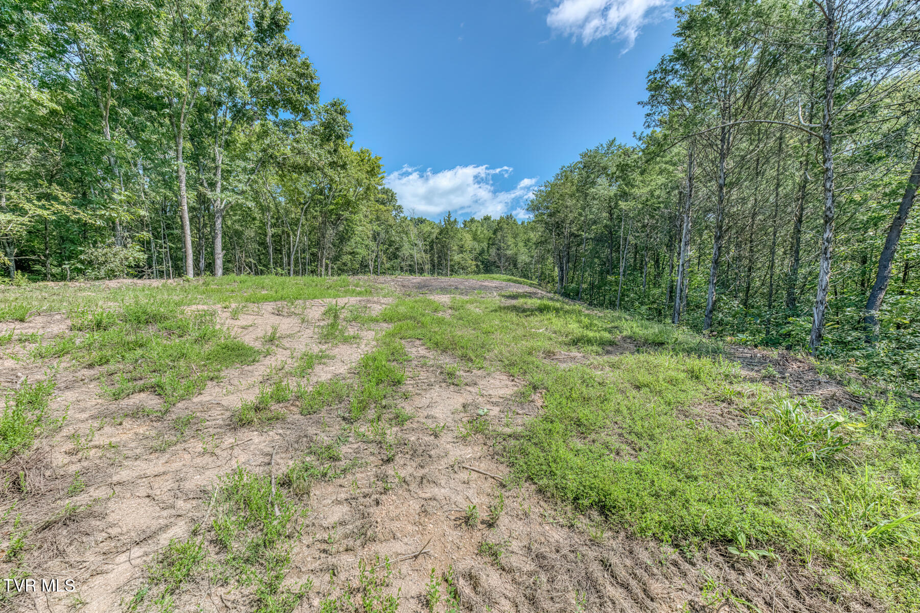 0 Old Cemetery Road Greeneville, TN 37745 - Photo 21 of 37 280 Old Cemetery Rd-21