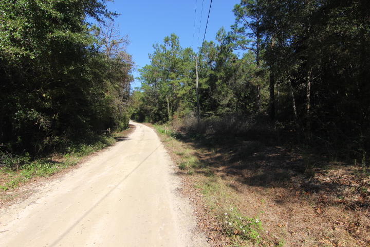 10 Spring Lake Road DeFuniak Springs, FL 32433 - Photo 2 of 14 a view of outdoor space and garden