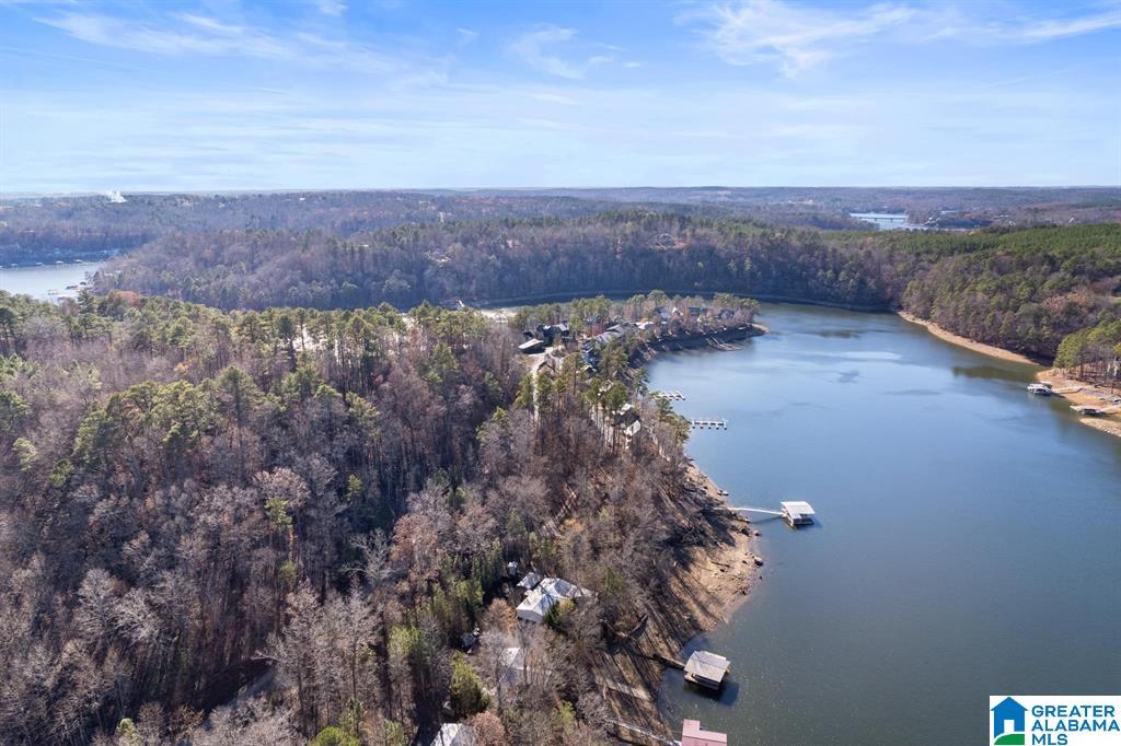 80 Williams Road Crane Hill, AL 35053 - Photo 54 of 72
