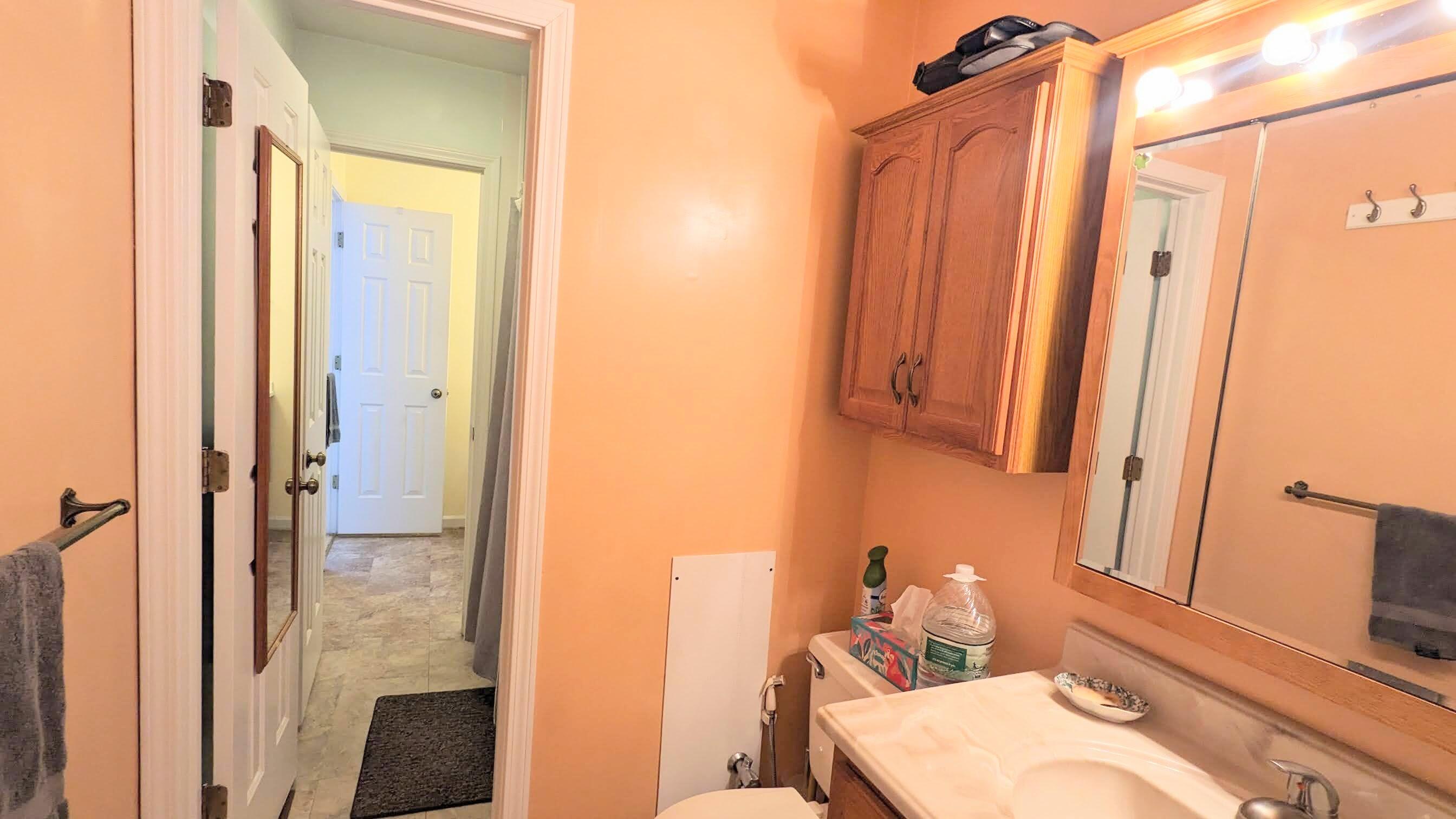 3420 Morning Dove Road Roanoke, VA 24018 - Photo 21 of 33 a bathroom with a sink a toilet and shower