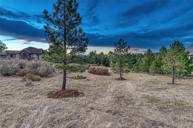$1,375,000 | 7998 Forest Keep Circle, Parker, CO 80134