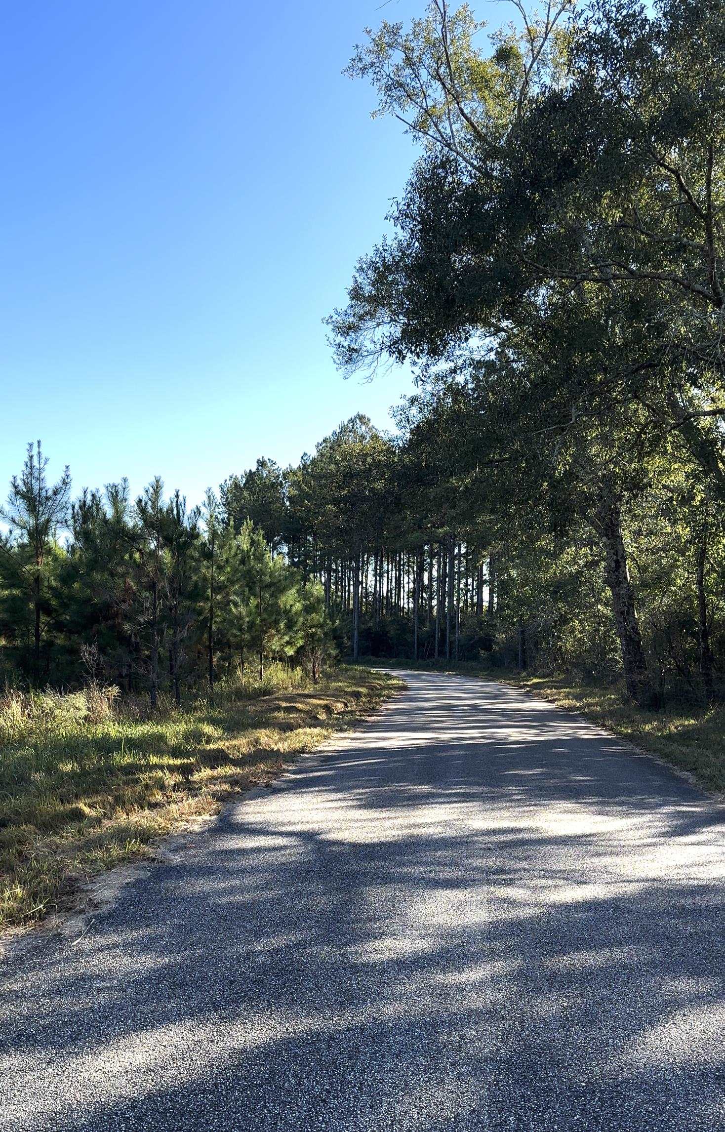 0 Day Road Robertsdale, AL 36567 - Photo 7 of 8