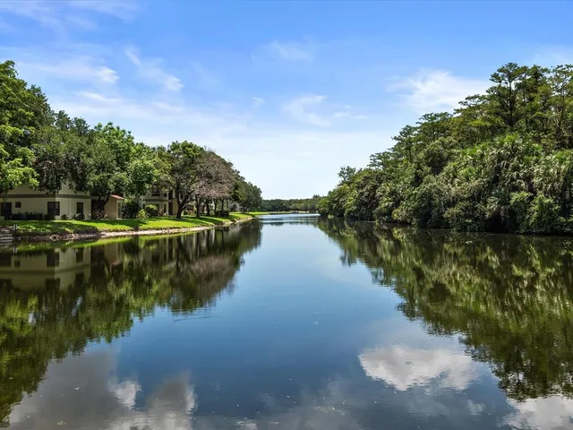 a view of a lake with houses in background