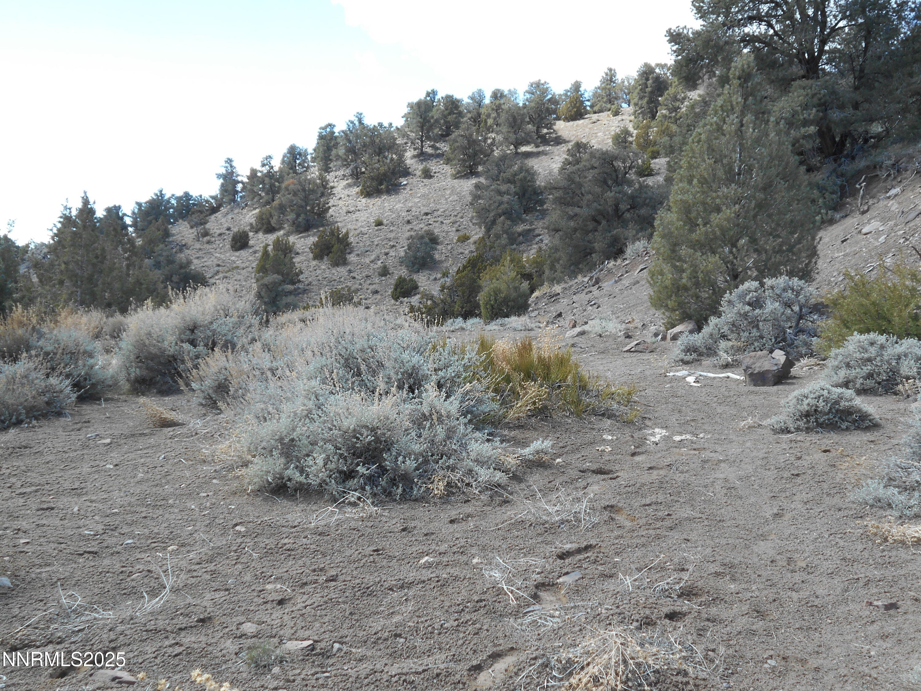 2050 Scorpion Road Reno, NV 89521 - Photo 11 of 22 DSCN0251